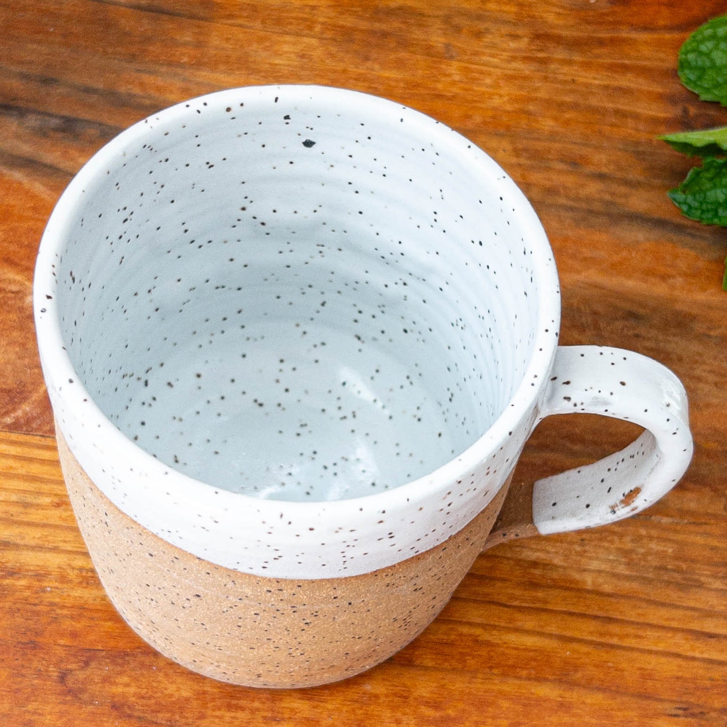12 oz You’re My Favorite Mug - Taylor