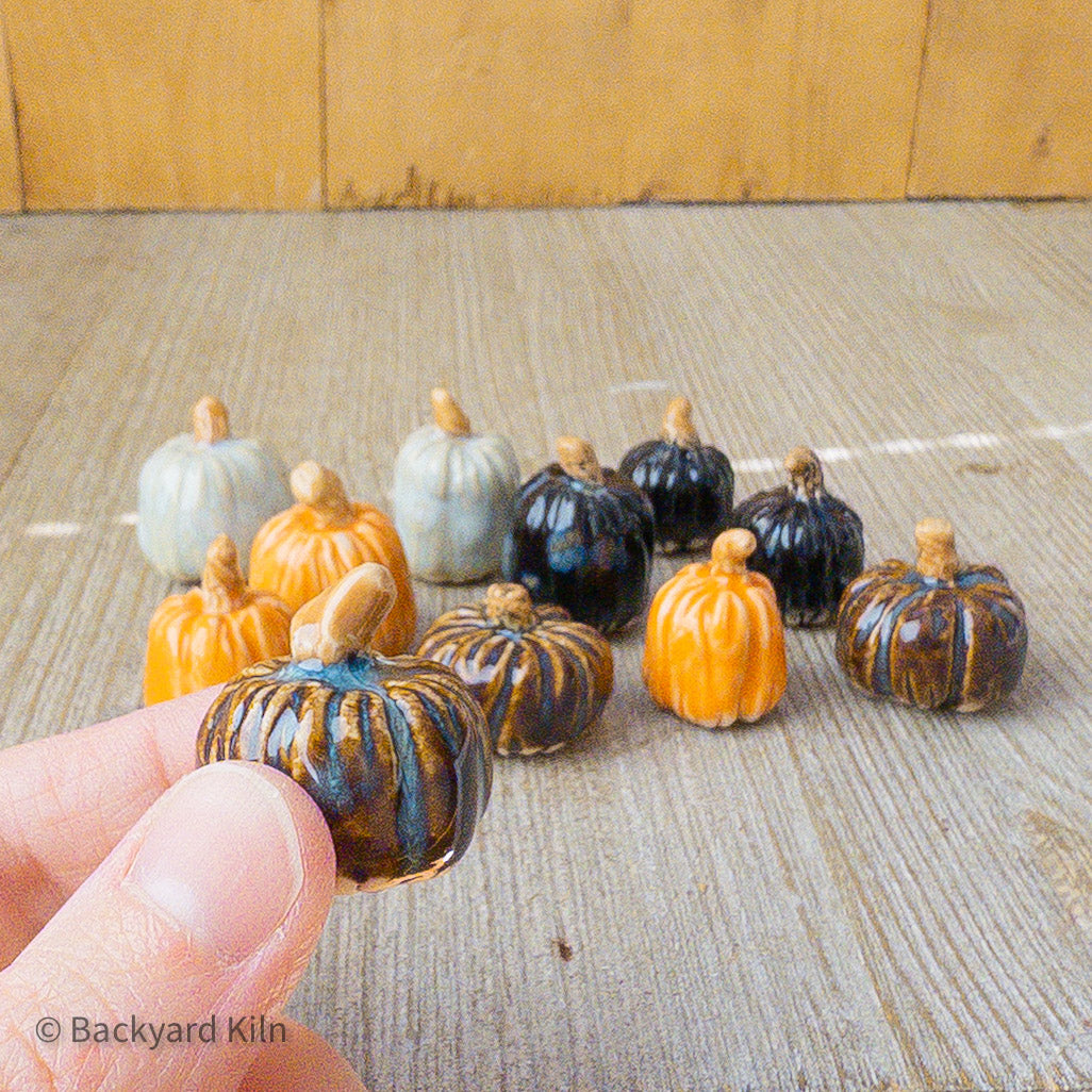 Mini Pumpkins Assorted - Taylor