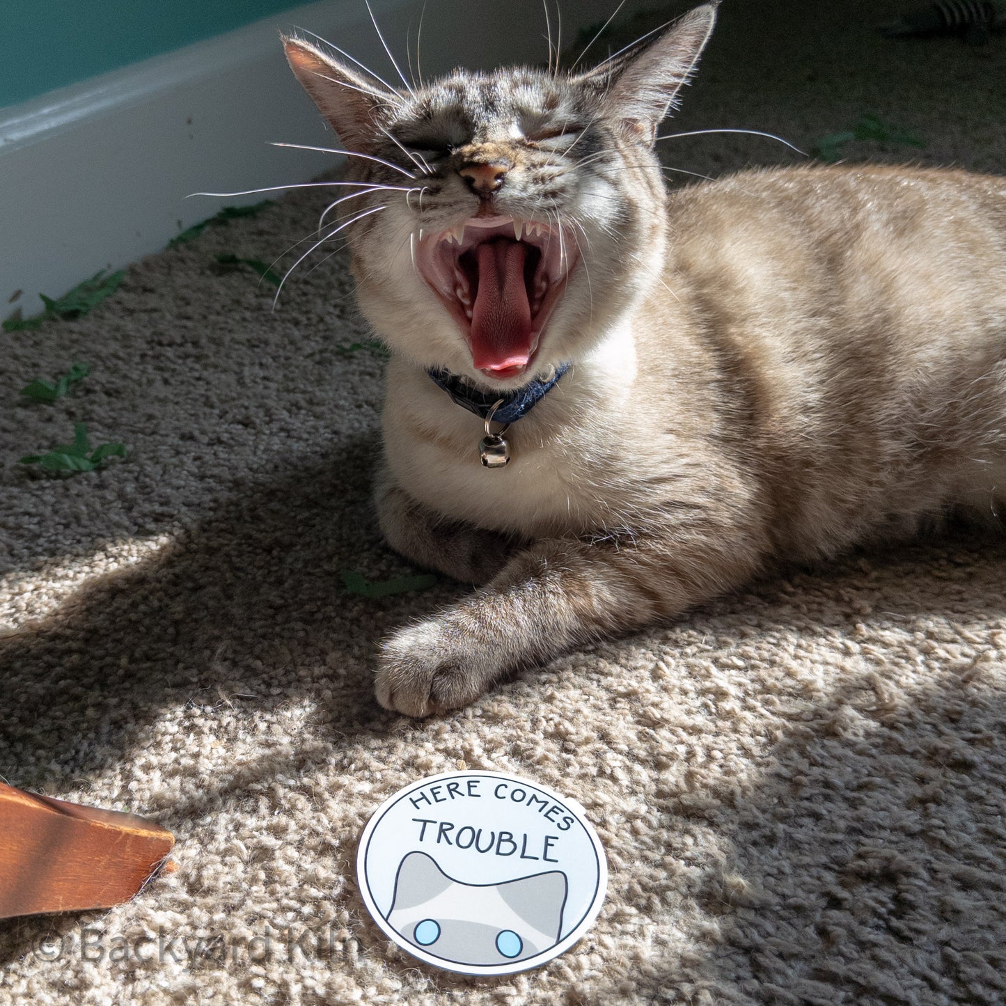 Trouble Cat Sticker by Taylor