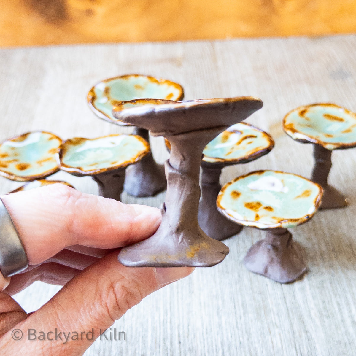 Mini Mushrooms Assorted, Brown/Green by Taylor
