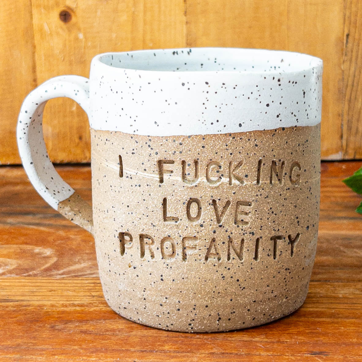 12 oz I Love Profanity Mug - Taylor
