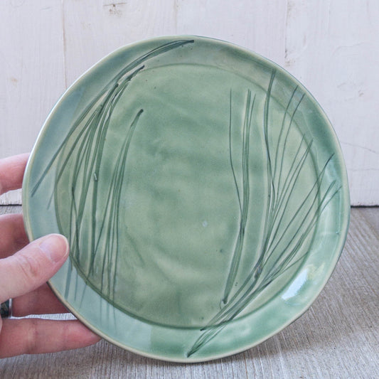 7” Plate - Taylor