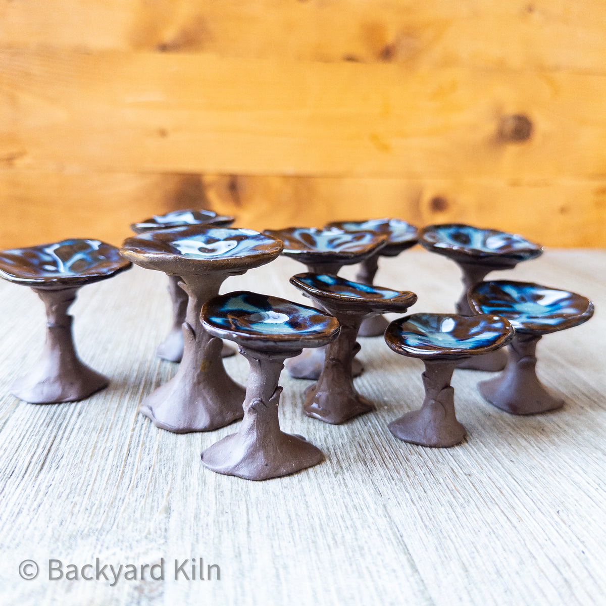 Mini Mushrooms Assorted, Brown/Blue by Taylor