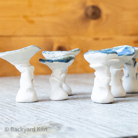 Mini Mushrooms Assorted, White/Blue by Taylor