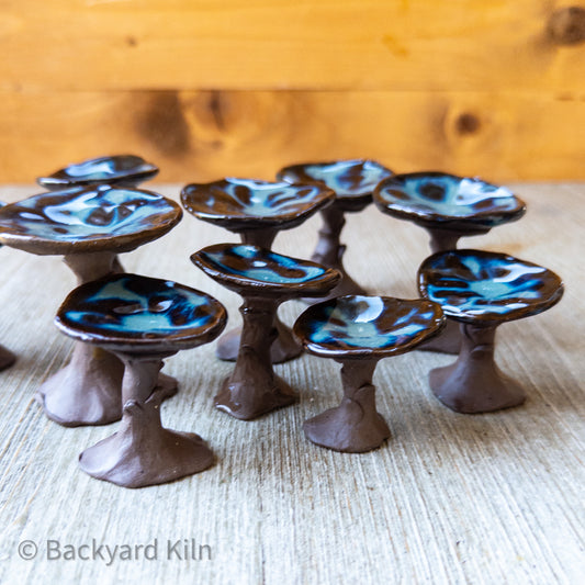 Mini Mushrooms Assorted, Brown/Blue by Taylor