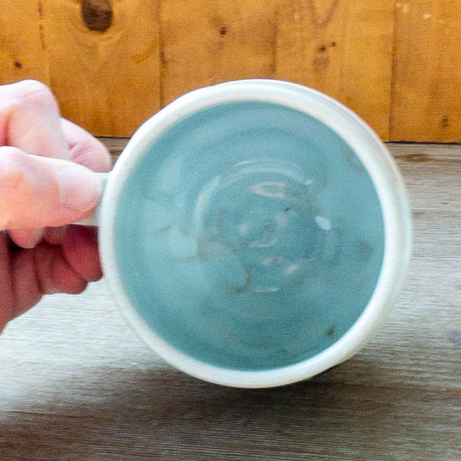 Fundraiser “Due Process” Cat Mug - Taylor