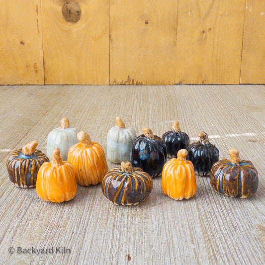 Mini Pumpkins Assorted - Taylor