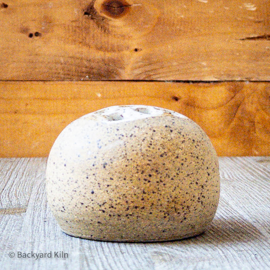 Plant Rooting Ball in White Speckle by Taylor