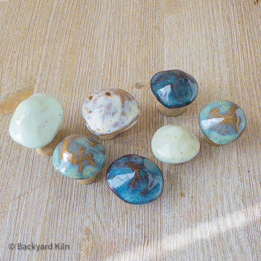 Mini Mushrooms Assorted - Taylor