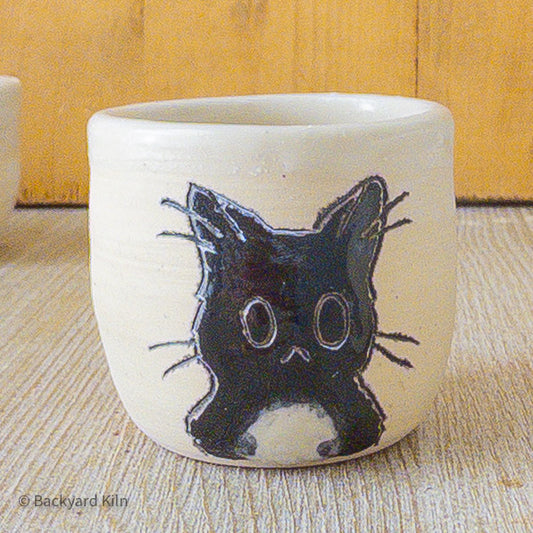 Black and White Cat Shot Glass - Taylor