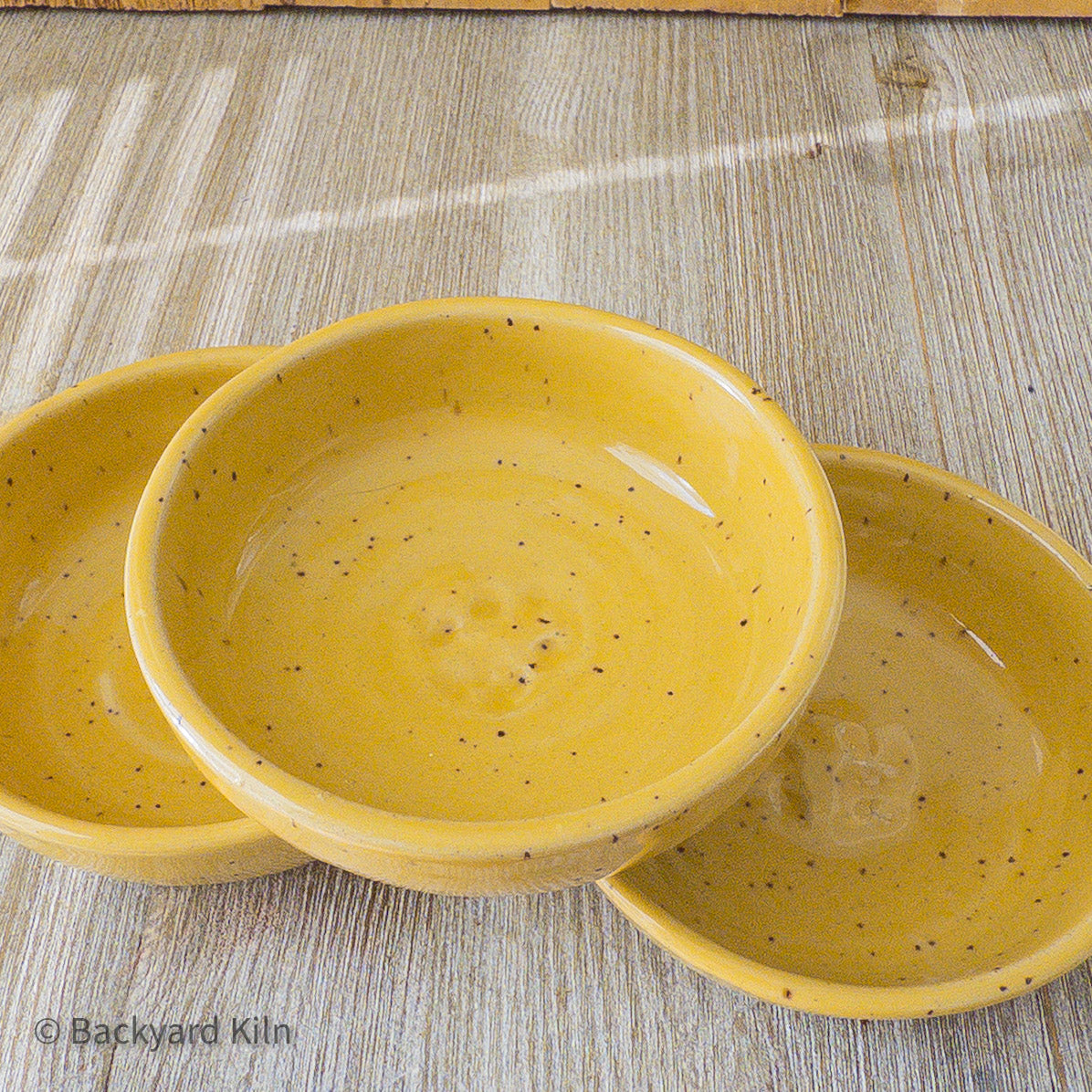 Fundraiser Cat Dishes: Blue and Yellow - Taylor