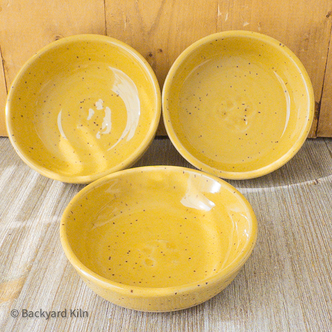 Fundraiser Cat Dishes: Blue and Yellow - Taylor