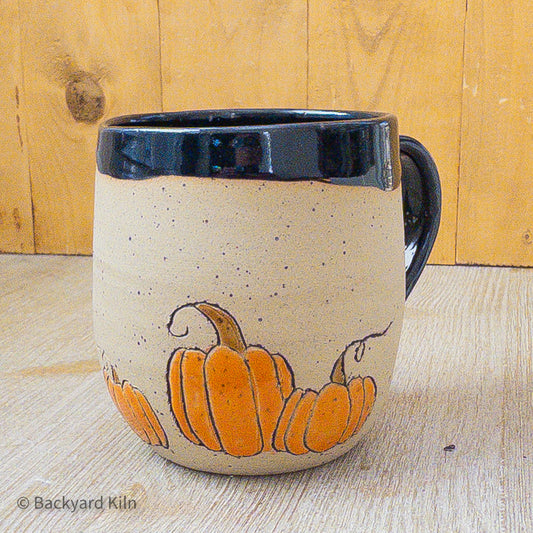 Fundraiser Cat Mug: Quartz - Taylor