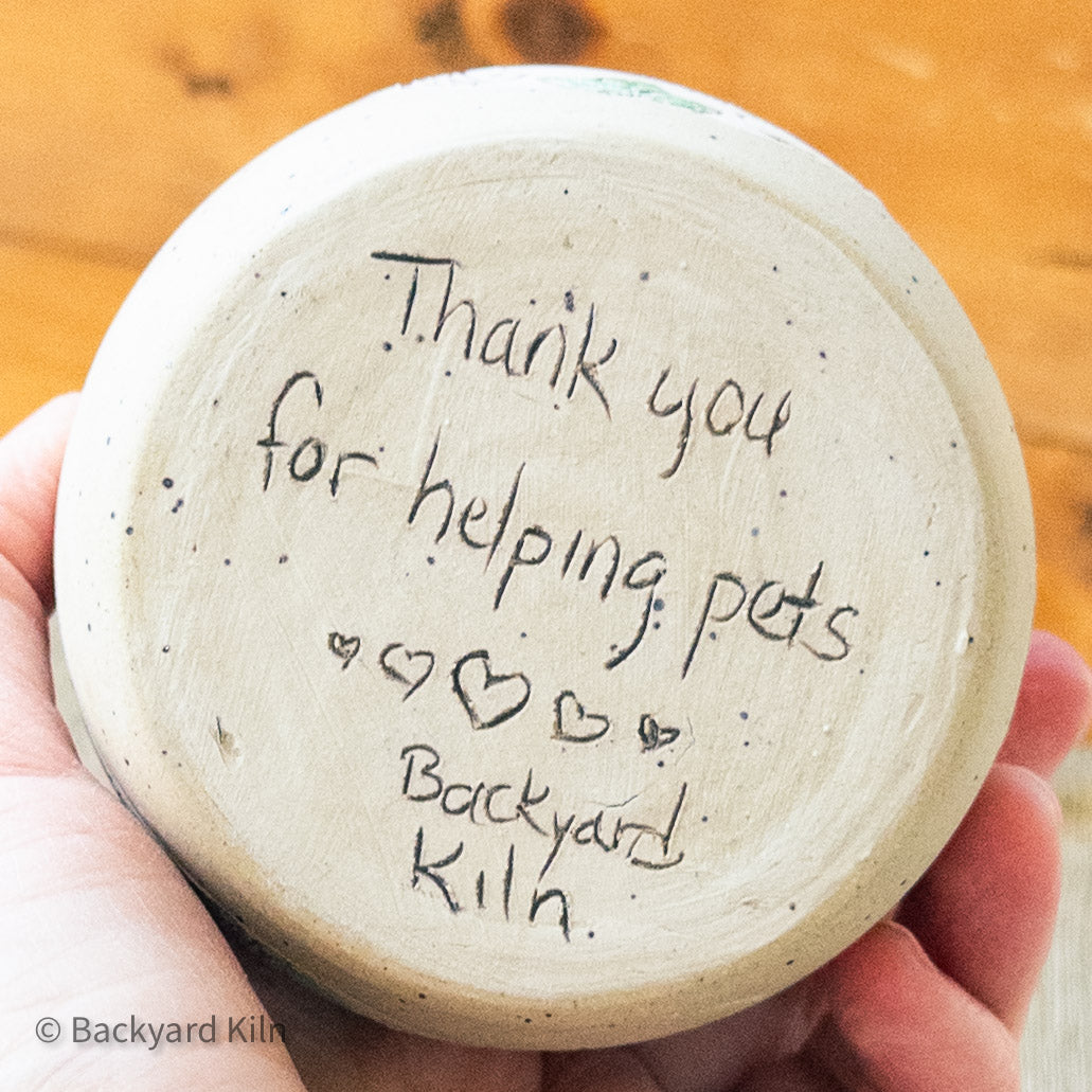 Fundraiser Kitten Cup: Parakeet by Taylor