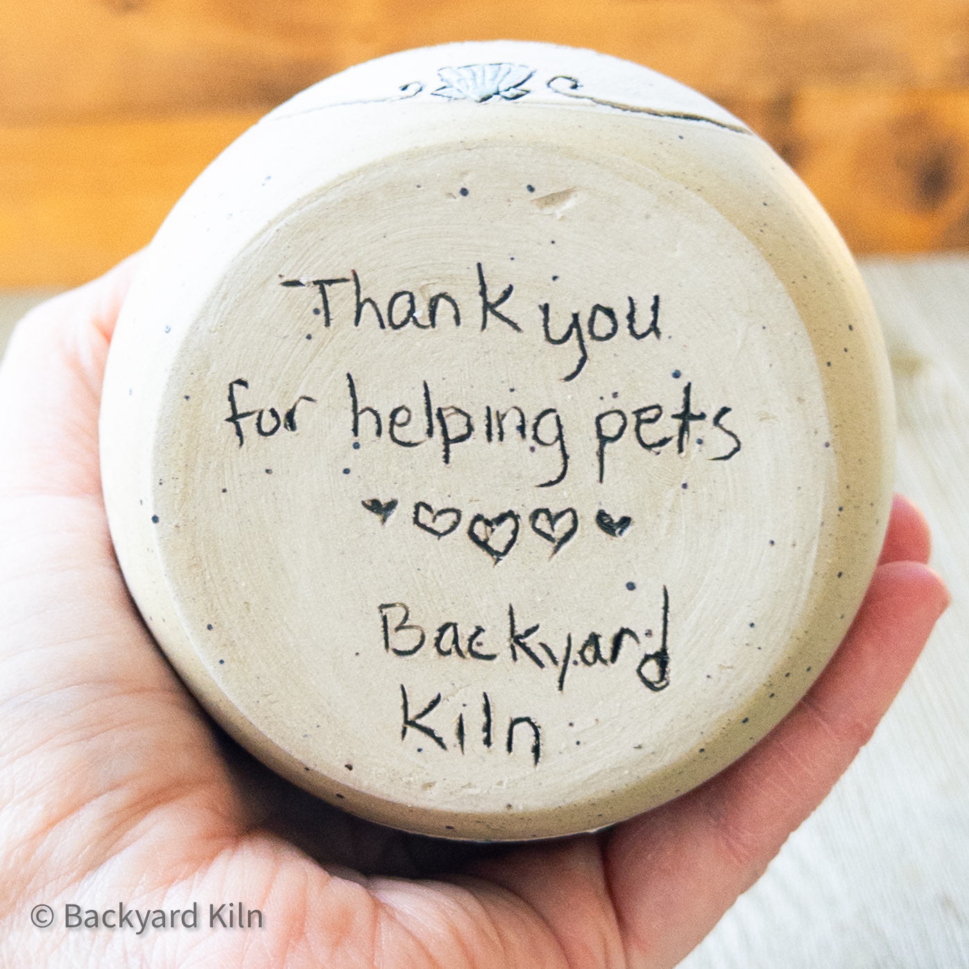 Fundraiser Kitten Cup: Plover by Taylor