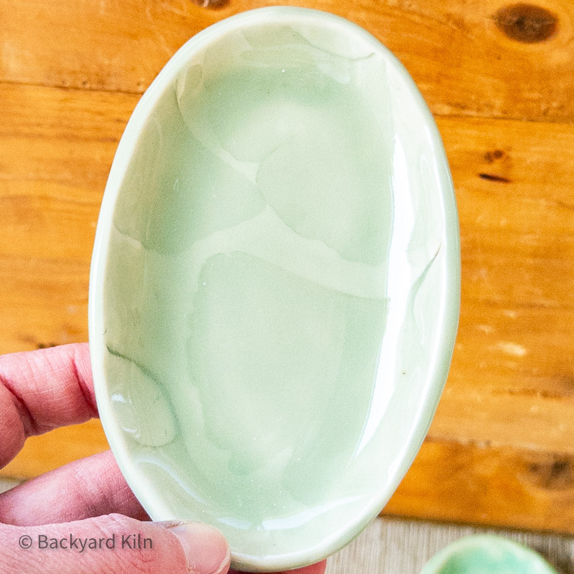 Small Sage Green Ginkgo Leaf Tray by Taylor