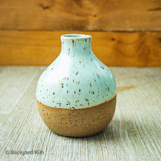 Mini Tortuga Vase by Taylor