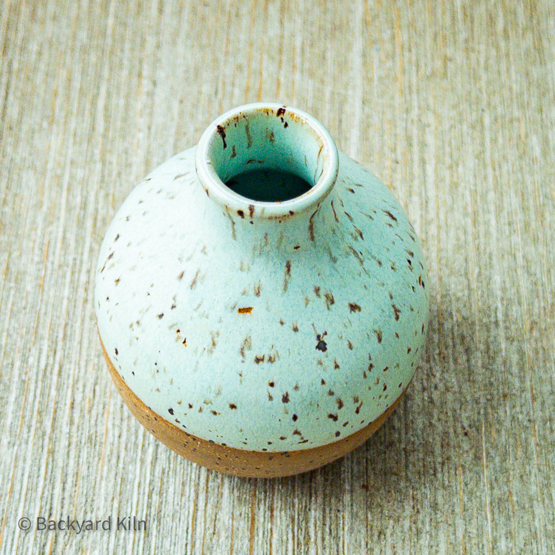 Mini Tortuga Vase by Taylor
