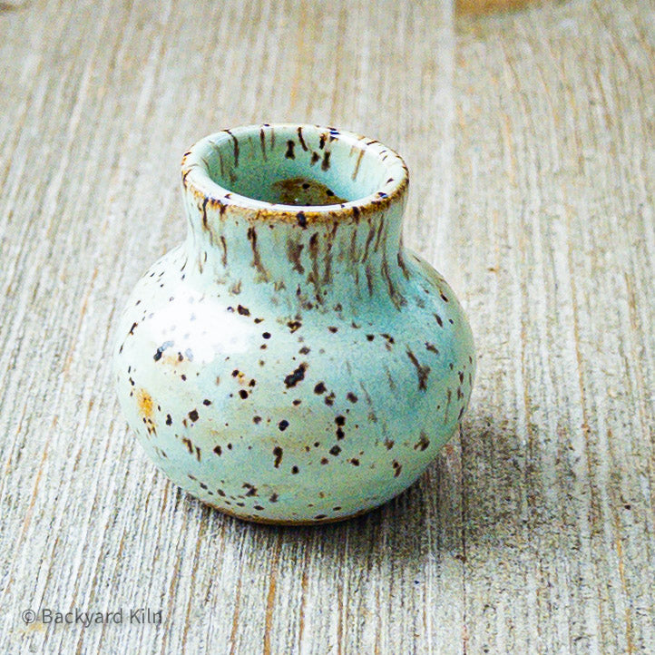 Mini Tortuga Cat Whiskers Vase by Taylor