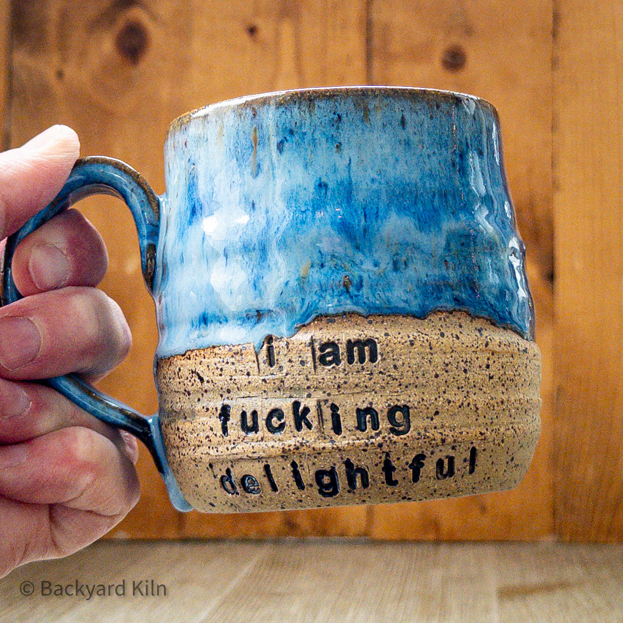 Blue "I am fucking delightful" Stamped Mug by Taylor
