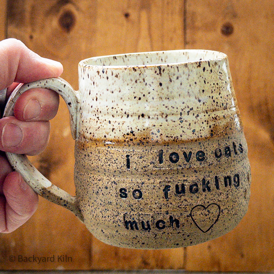 "I Love Cats So Fucking Much" Mug by Taylor
