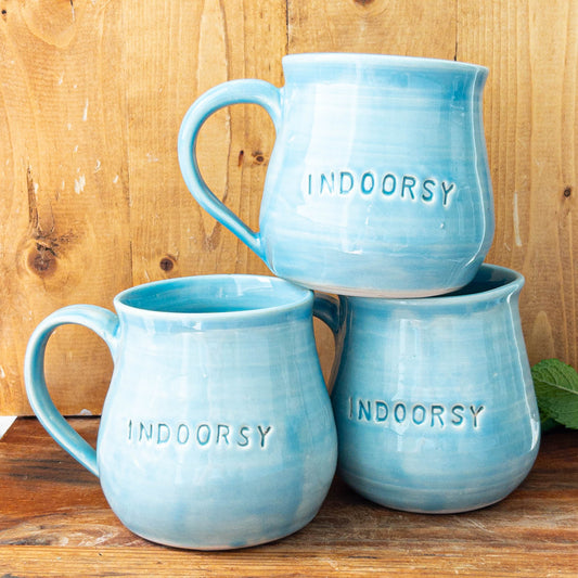 16 oz Indoorsy Mug - Taylor