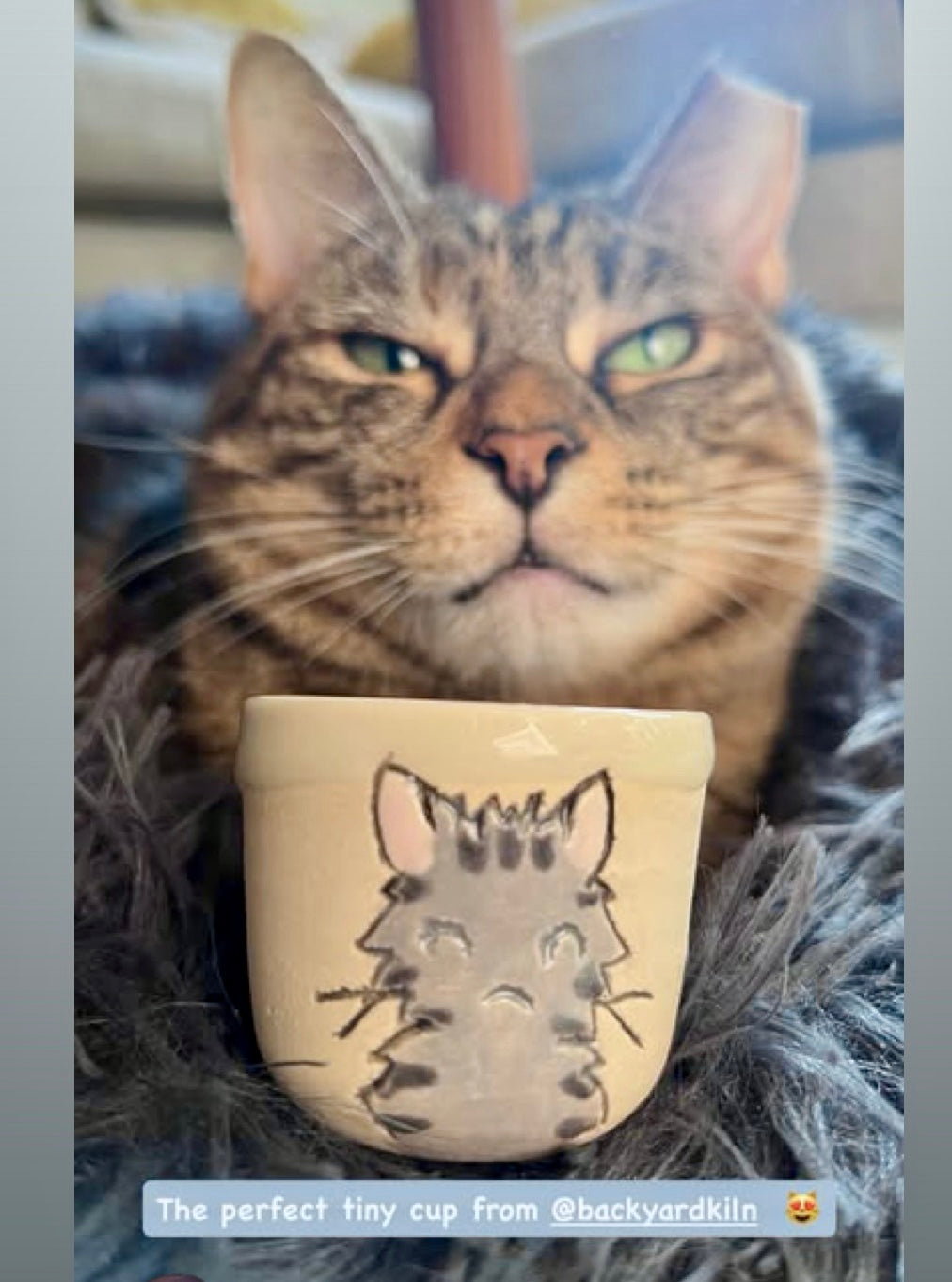 Custom Memorial Cat Mug #2 - Taylor