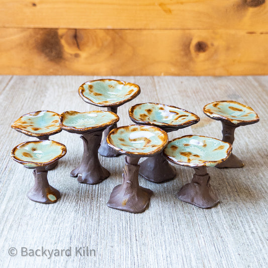 Mini Mushrooms Assorted, Brown/Green by Taylor
