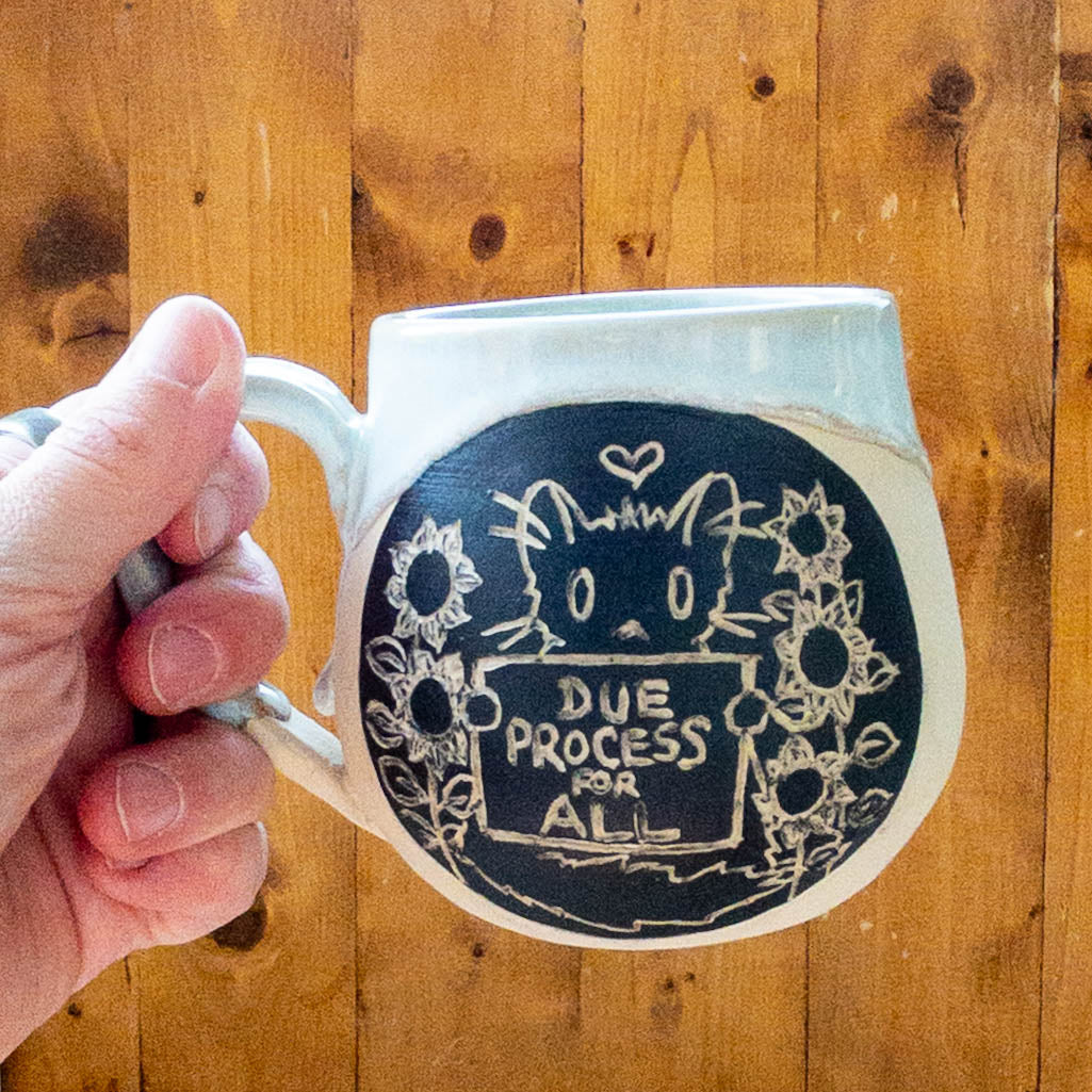 Fundraiser “Due Process” Cat Mug - Taylor