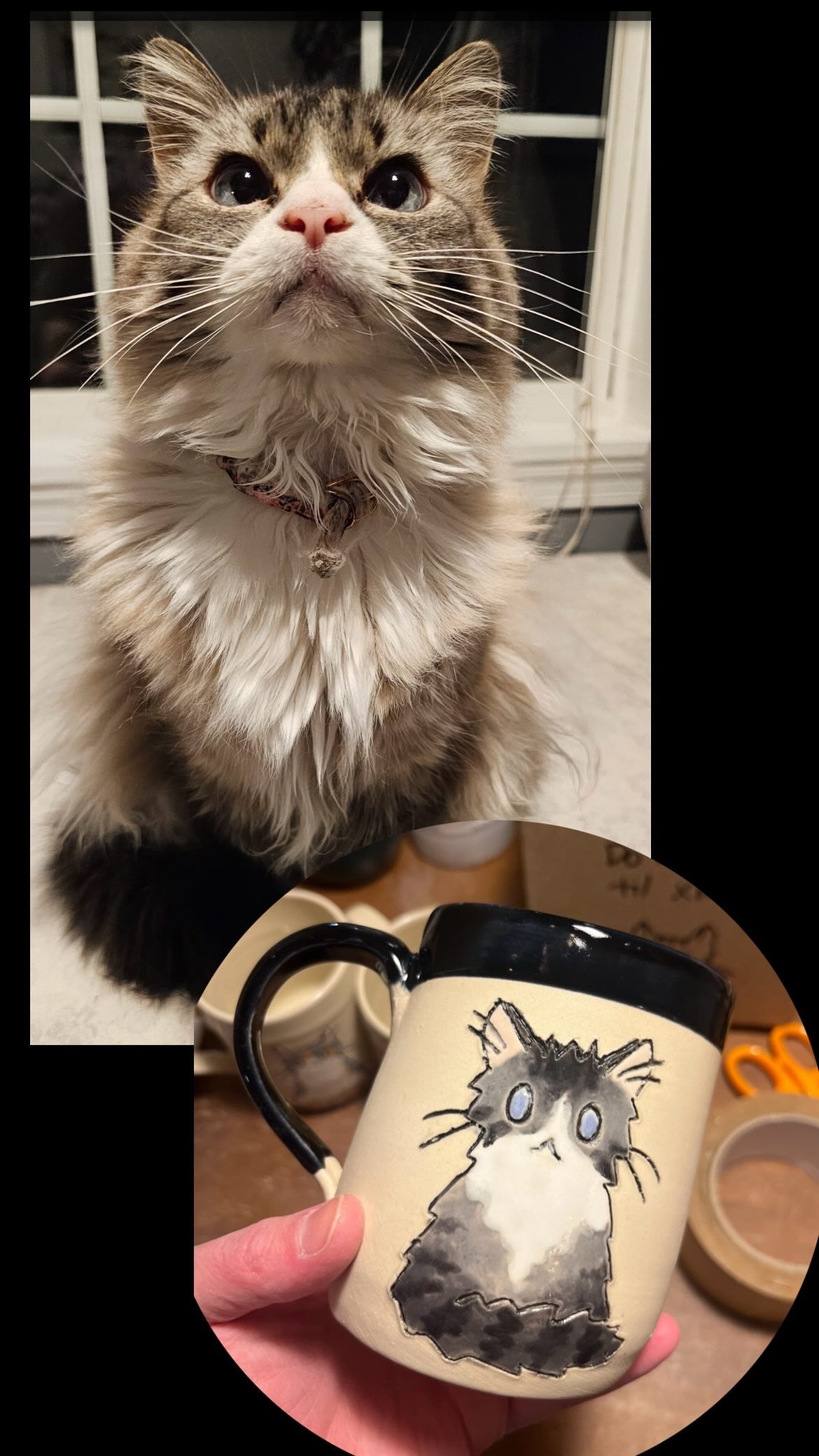 Custom Cat Mug #15 - Taylor