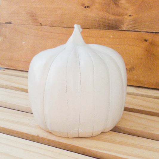 Little White Pumpkin - Taylor