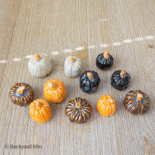 Mini Pumpkins Assorted - Taylor
