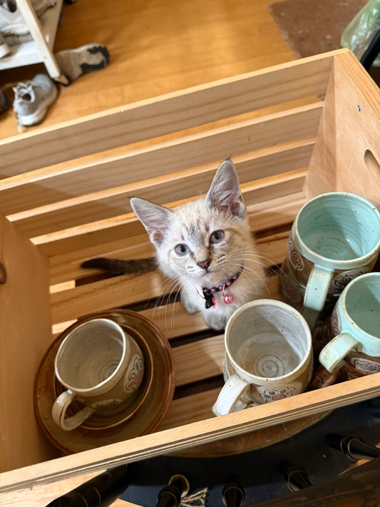 Holiday Open House 2025!