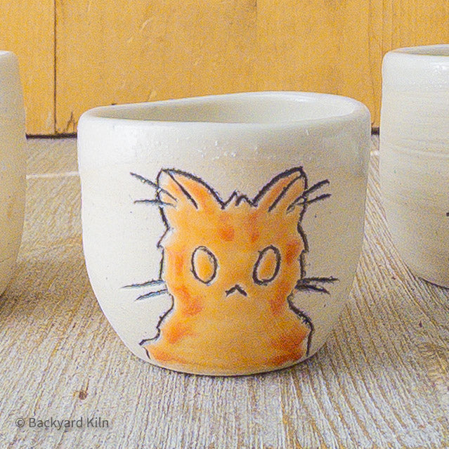 Cats Cats Cats!