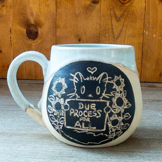 Fundraiser “Due Process” Cat Mug - Taylor