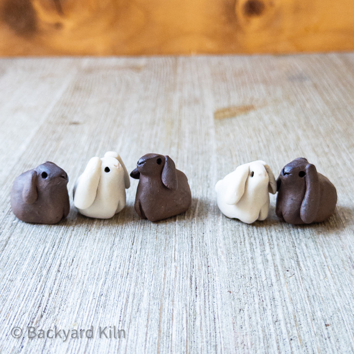 Mini Lop Bunnies, Assorted by Taylor