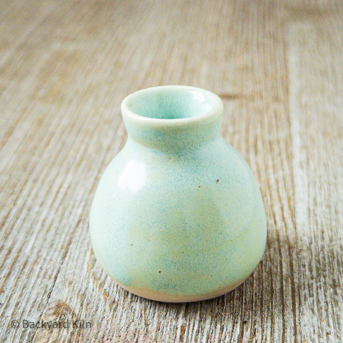 Tortuga Mini Cat Vase by Taylor
