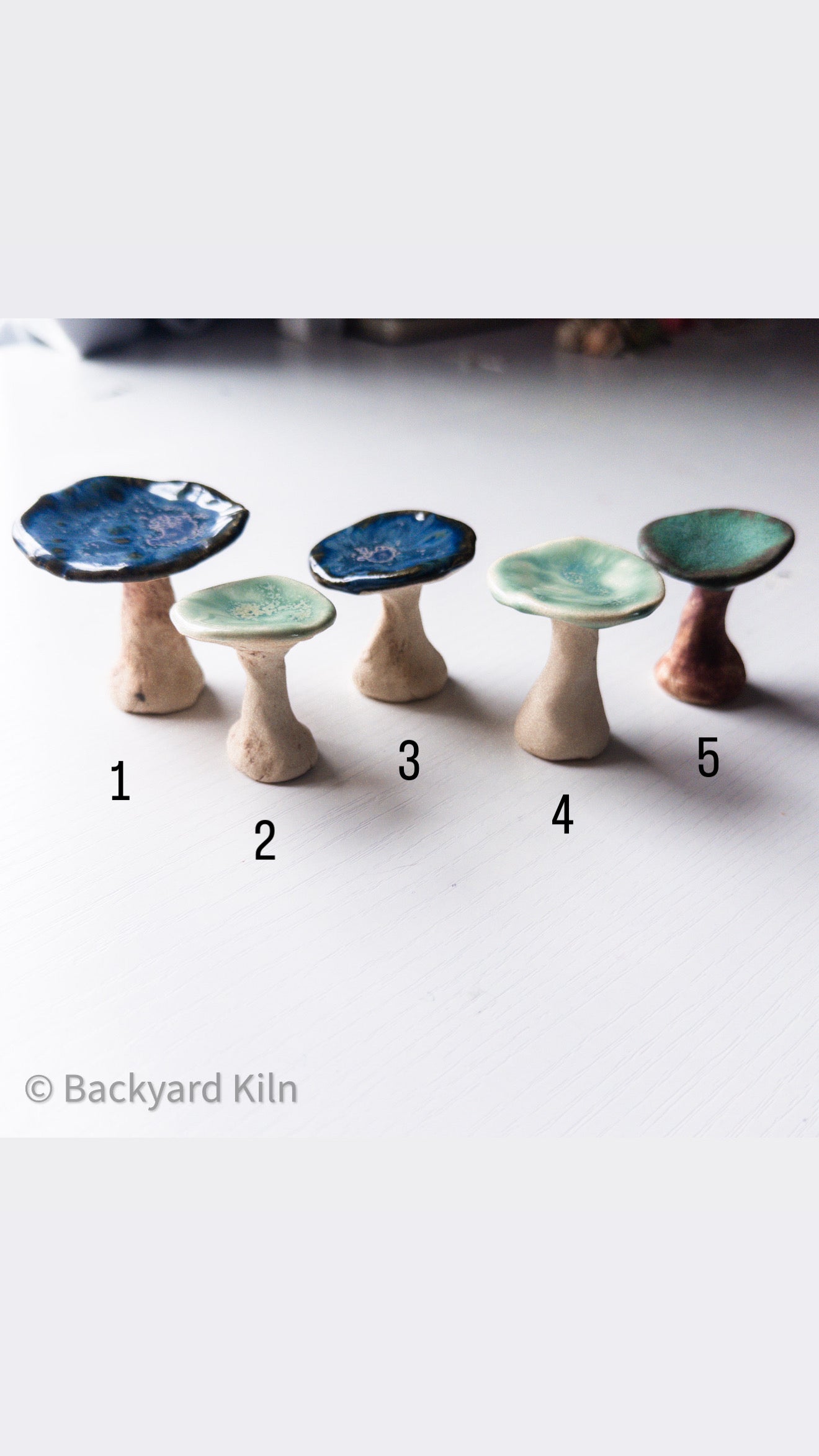 Mini Mushrooms - Taylor