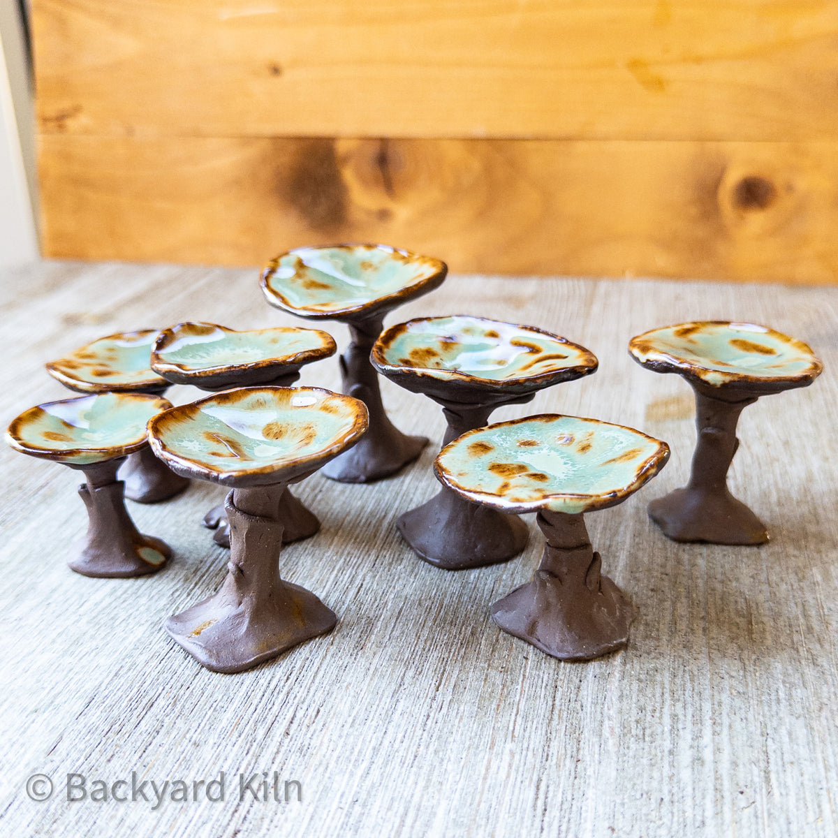 Mini Mushrooms Assorted, Brown/Green by Taylor