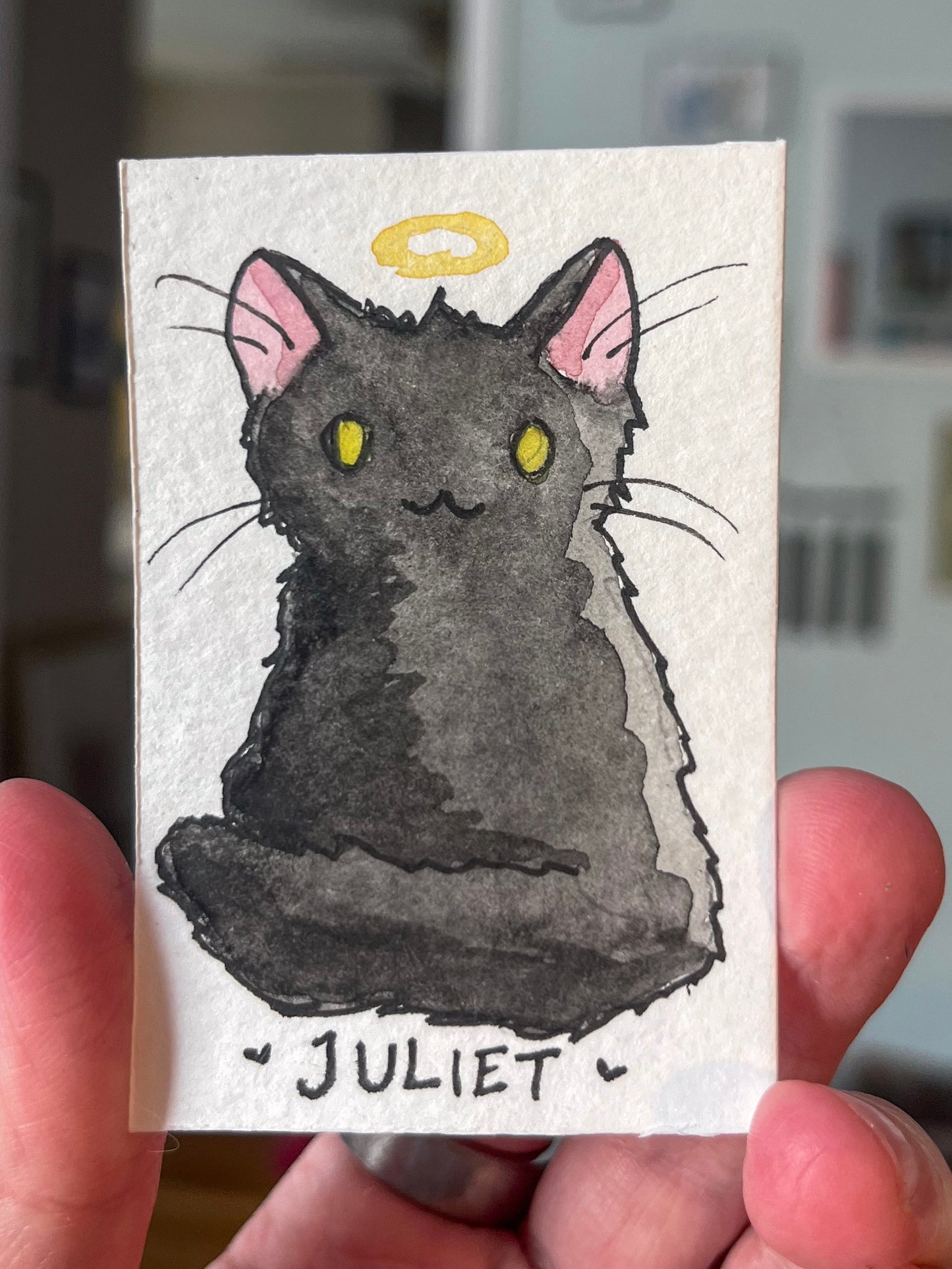 Custom Mini Cat Portrait