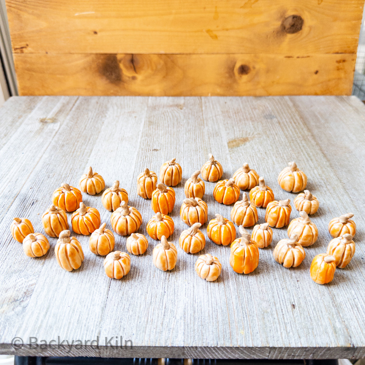 Tiny Pumpkins Assorted (Orange) by Taylor