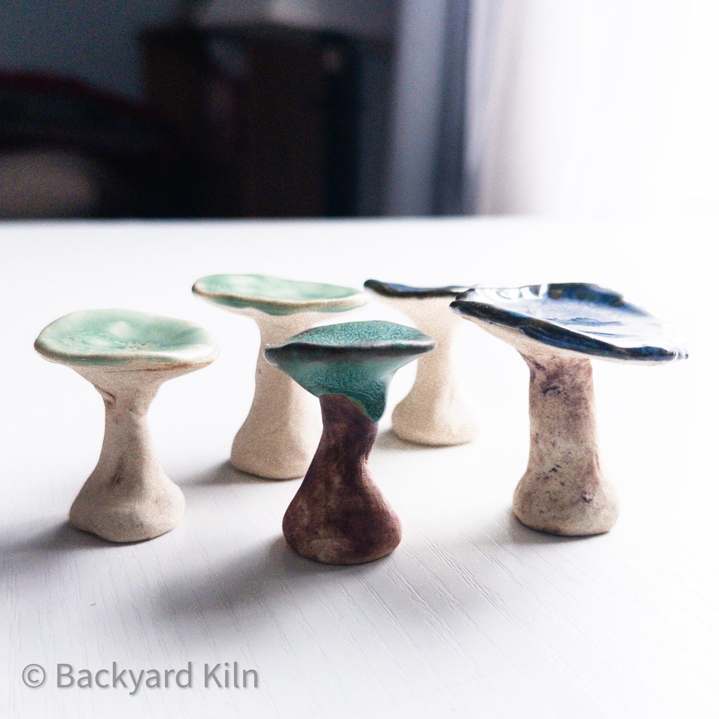 Mini Mushrooms - Taylor