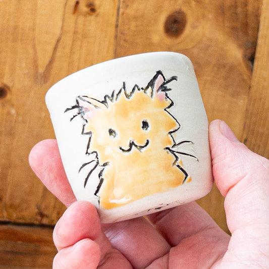 Orange Cat Shot Glass - Taylor