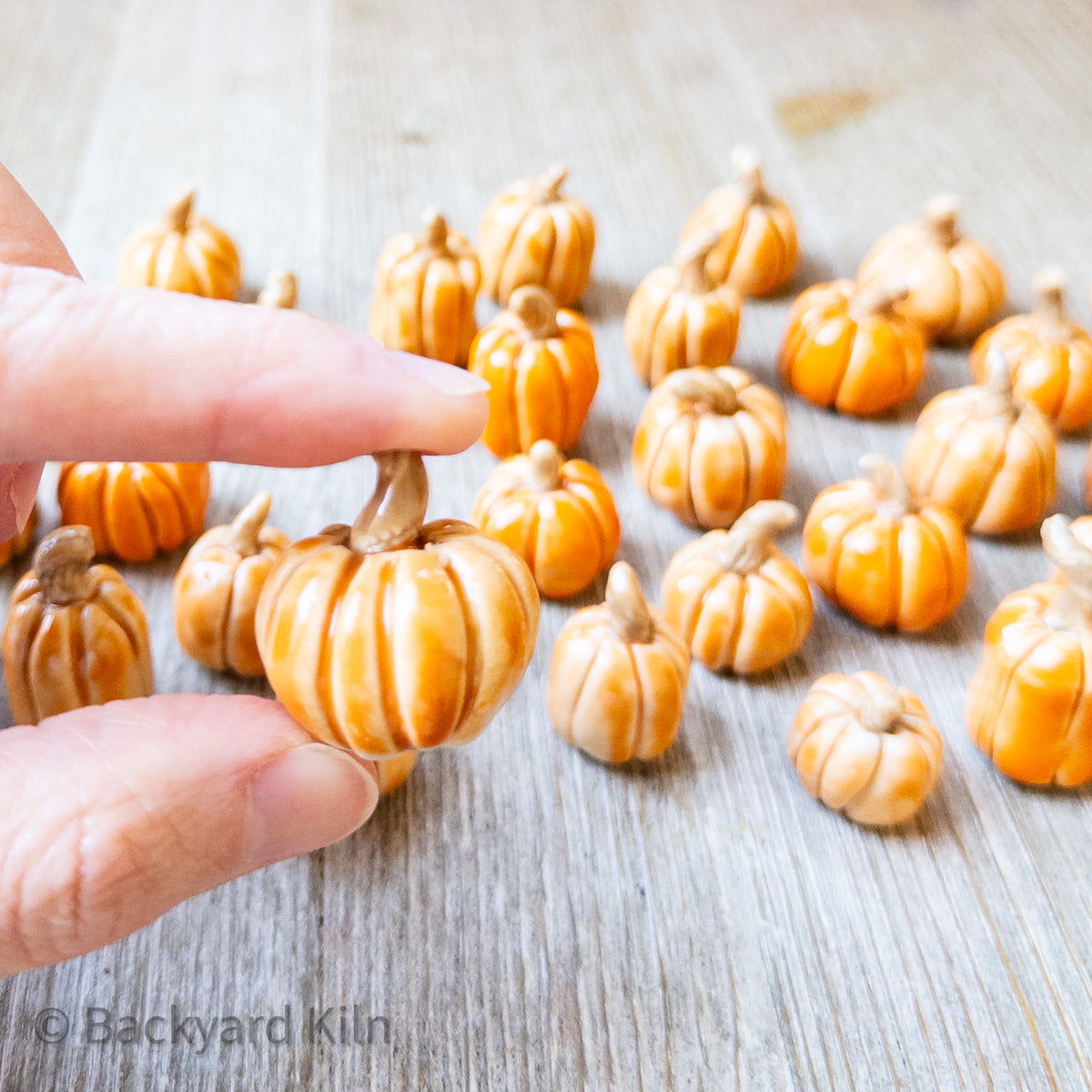 Tiny Pumpkins Assorted (Orange) by Taylor