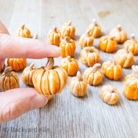 Tiny Pumpkins Assorted (Orange) by Taylor