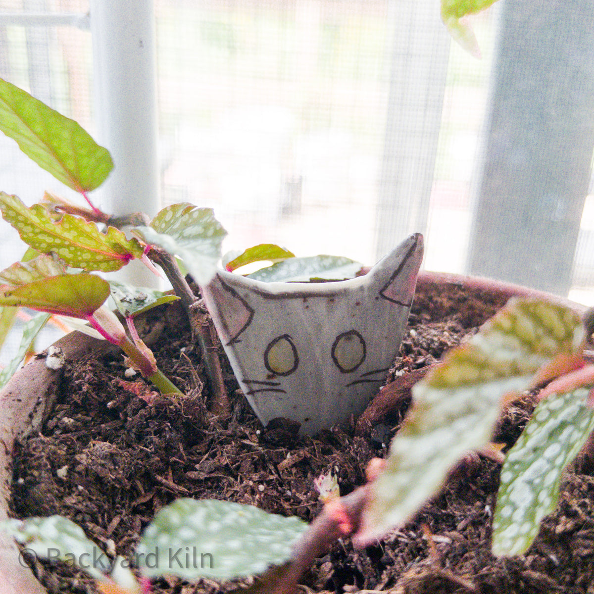 Cat Peeking Stakes by Taylor
