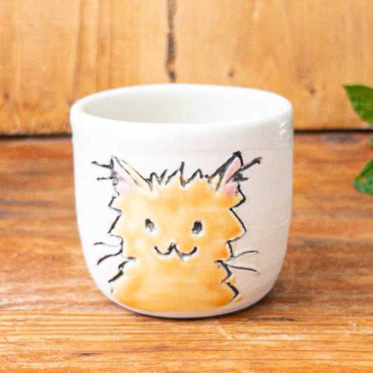 Orange Cat Shot Glass - Taylor