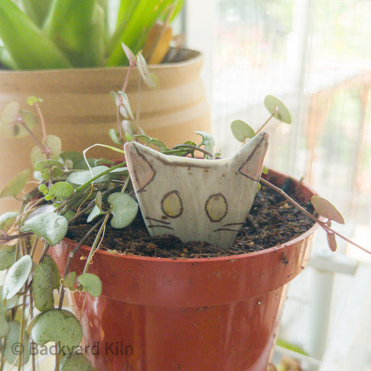Cat Peeking Stakes by Taylor