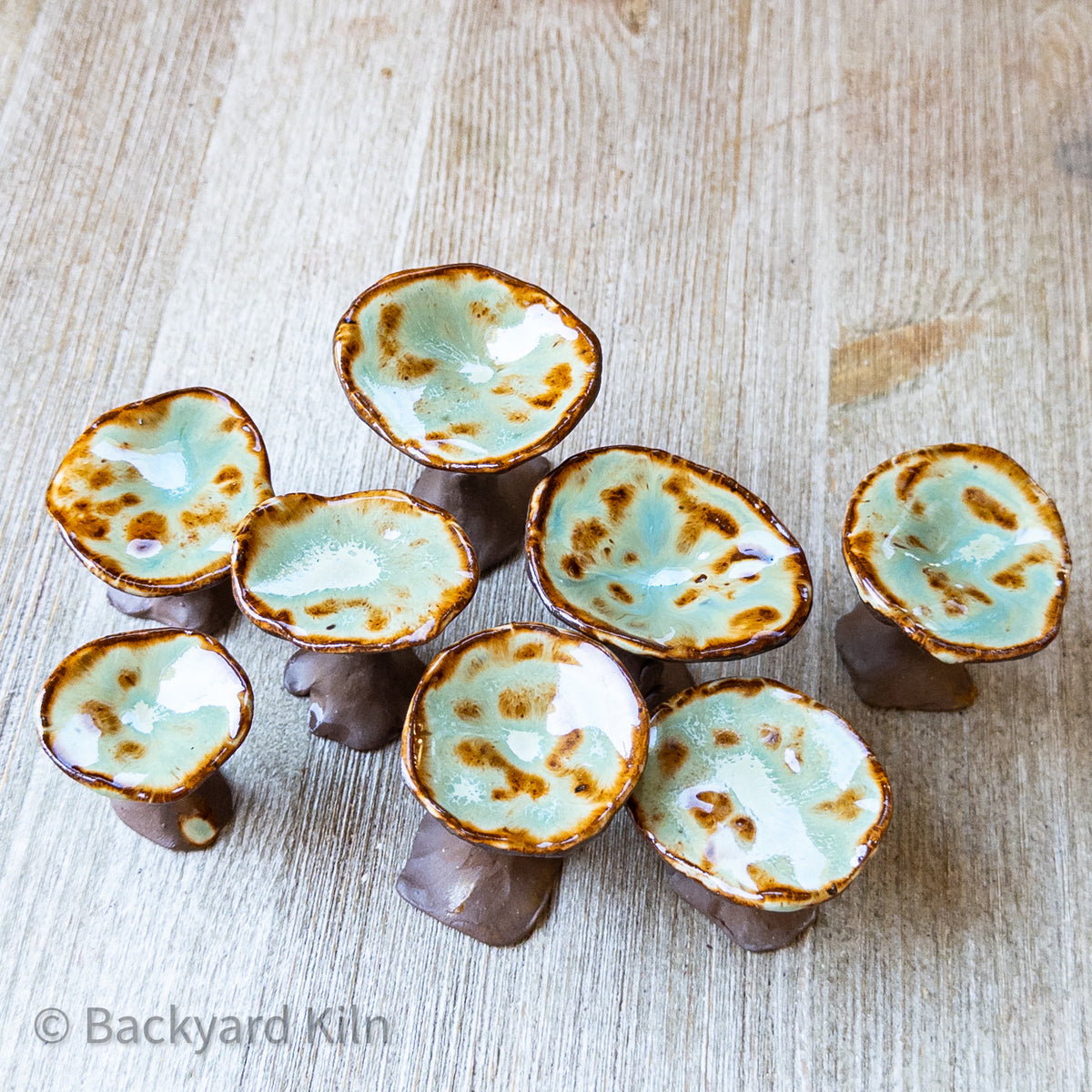 Mini Mushrooms Assorted, Brown/Green by Taylor