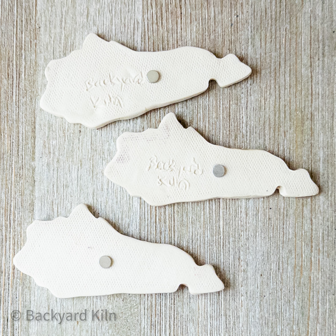 Large KY Pride Magnets by Taylor